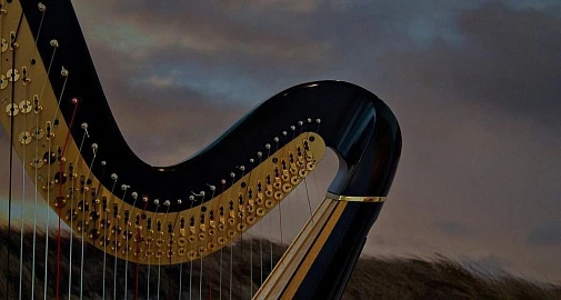 Концерт «Диалоги с арфой»