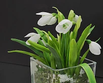 Мастер-класс «Лепка из холодного фарфора и японской полимерной глины»