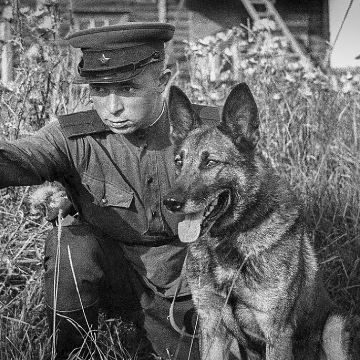 «Маленькие герои большой войны». Музейное занятие ко Дню Победы