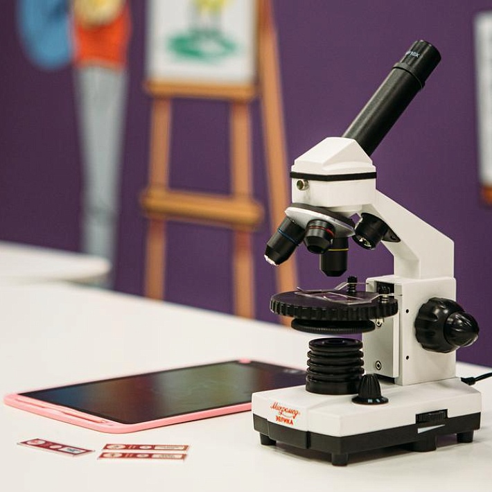 «Зоопарк в капле из пруда». Музейное занятие